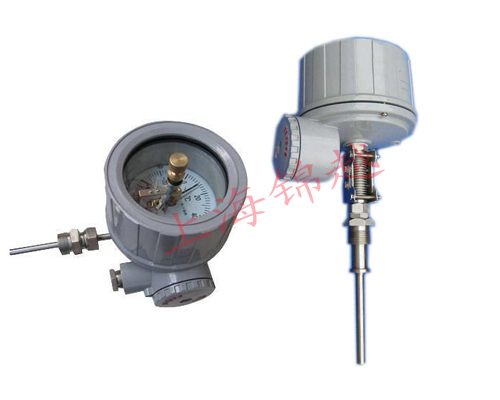 隔爆電接點(diǎn)雙金屬溫度計 WSSX-481B